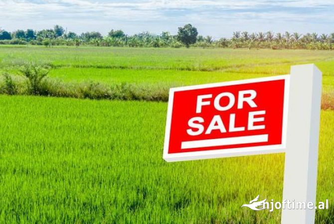Truall ose Toke  ne Tirane - 206,840 Euro