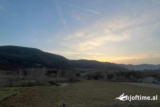 Truall ose Toke  ne Tirane - 529,750 Euro
