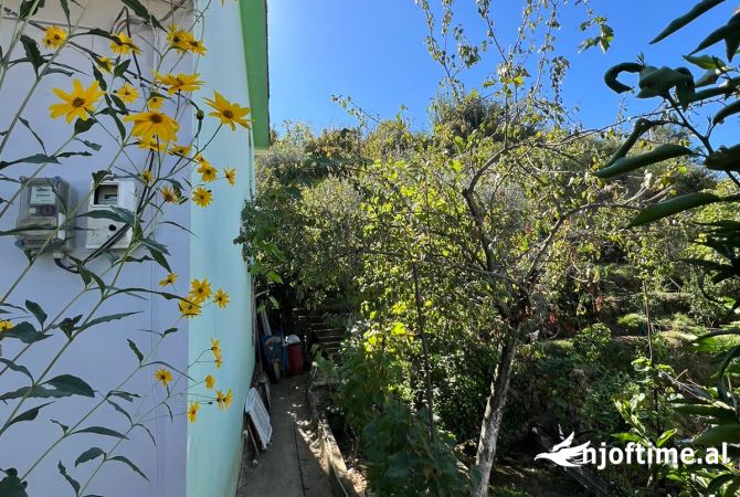 Shtepi ne shitje 6+1 ne Tirane - 280,000 Euro