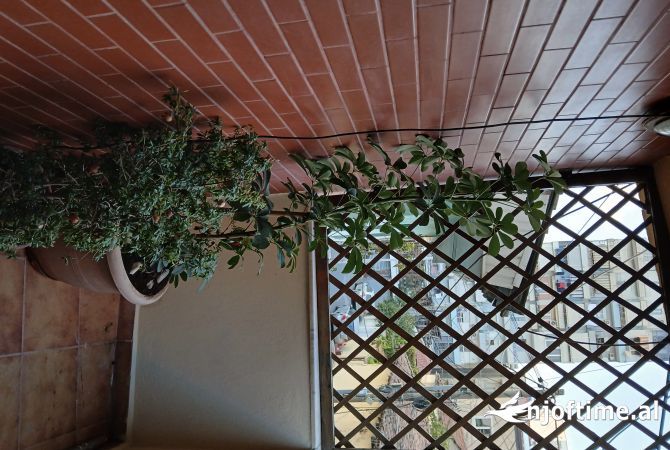 Shtepi me qera 1+1 ne Tirane - 400 Euro