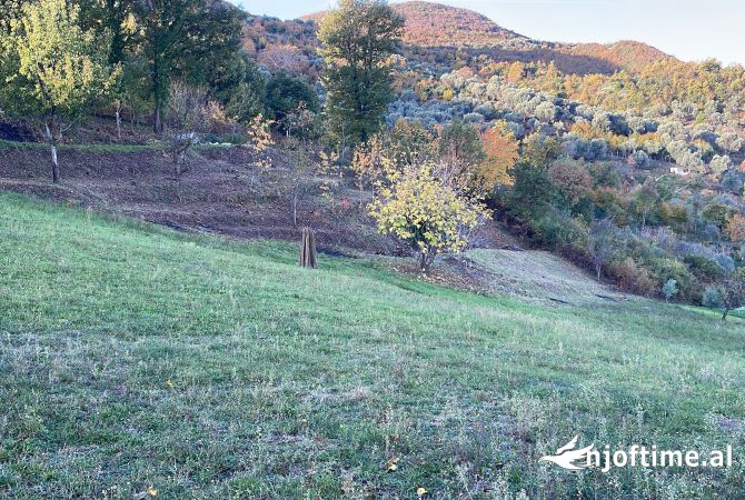 Terreno in vendita  a Tirana - 140,000 Euro