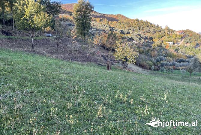 Terreno in vendita  a Tirana - 140,000 Euro
