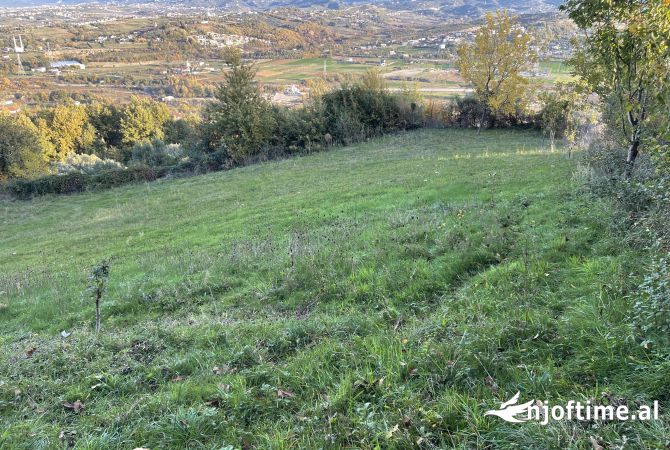 Terreno in vendita  a Tirana - 140,000 Euro