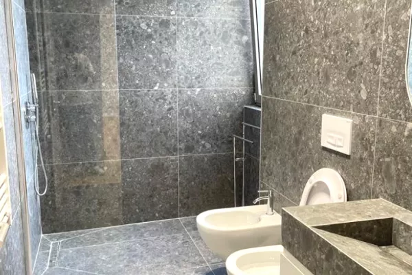 Shtepi me qera Apartament ne Tirane, 1+1, Mobilimi E mobiluar, Pagesa 1,400  Euro.