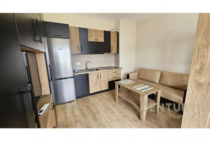Shtepi me qera 1+1 ne Tirane - 400 Euro