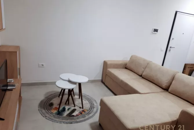 Shtepi me qera Apartament ne Tirane, 1+1, Mobilimi Bosh, pa mobiluar, Pagesa 600  Euro.