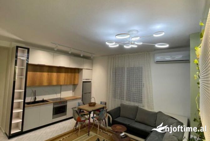 Shtepi me qera Apartament ne Tirane, 1+1, Mobilimi E mobiluar, Pagesa 550  Euro.