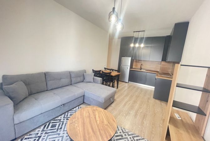 Shtepi me qera 2+1 ne Tirane - 65,000 Leke