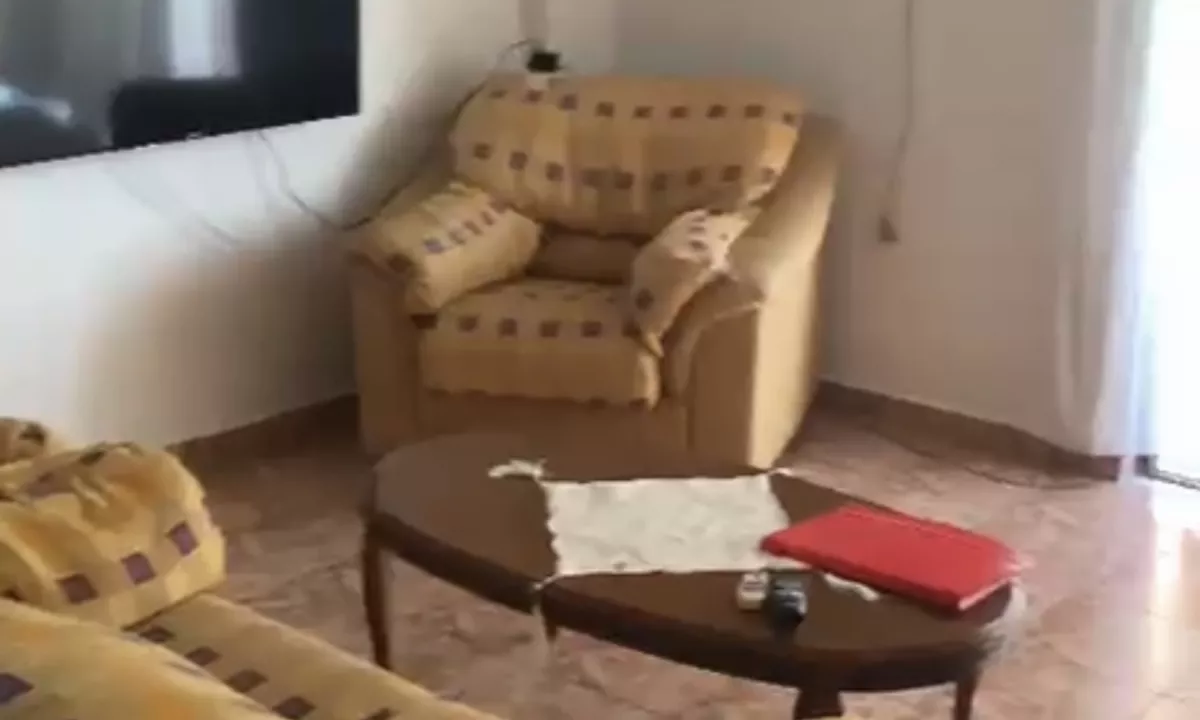 Foto 1