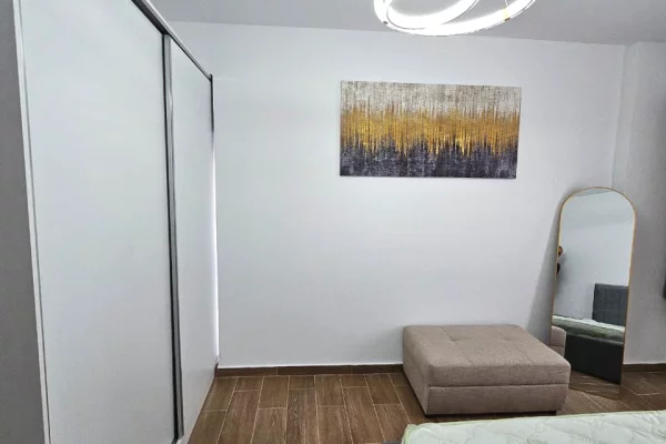 Shtepi me qera Apartament ne Tirane, 1+1, Mobilimi E mobiluar, Pagesa 600  Euro.