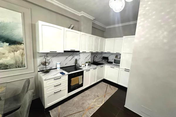 Shtepi me qera Apartament ne Tirane, 2+1, Mobilimi E mobiluar, Pagesa 500  Euro.