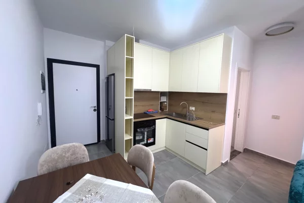 Shtepi me qera 1+1 ne Tirane - 650 Euro