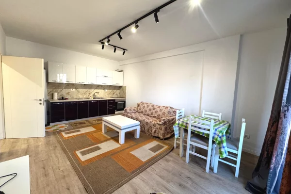 Shtepi me qera 1+1 ne Tirane - 450 Euro