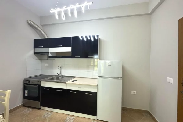 House for Rent 1+1 in Tirana - 40,000 Leke
