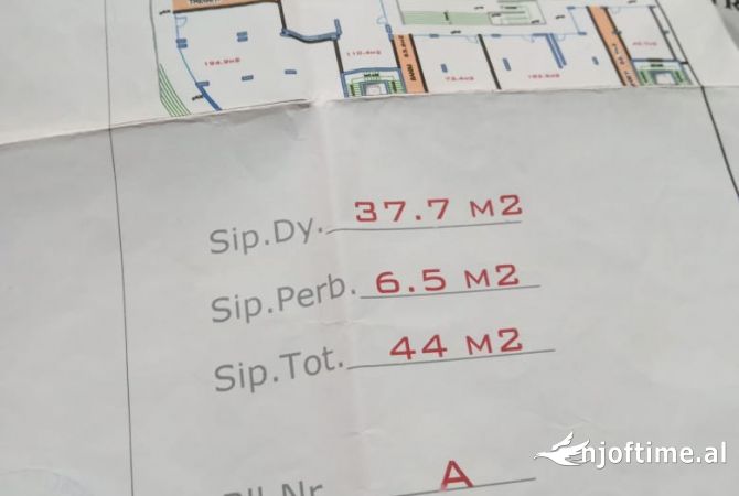 Ambient biznesi ne shitje 1+1 ne Tirane - 65,000 Euro