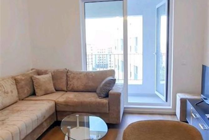 Shtepi me qera Apartament ne Tirane, 1+1, Mobilimi E mobiluar, Pagesa 450  Euro.