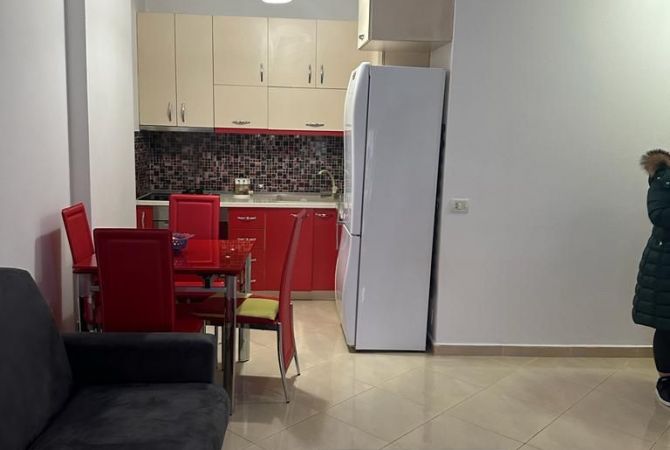 Shtepi me qera 1+1 ne Tirane - 450 Euro