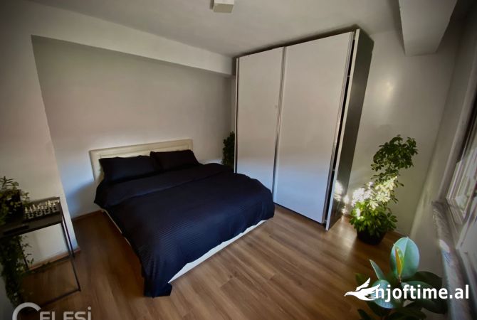 Shtepi me qera 1+1 ne Tirane - 50,000 Leke