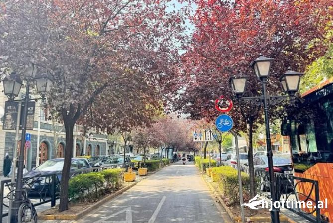 Ambient biznesi me qera 1+1 ne Tirane - 4,000 Euro