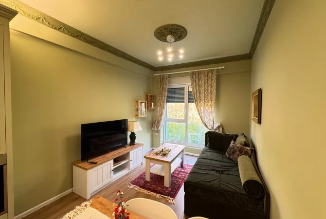 Shtepi me qera 1+1 ne Tirane - 500 Euro