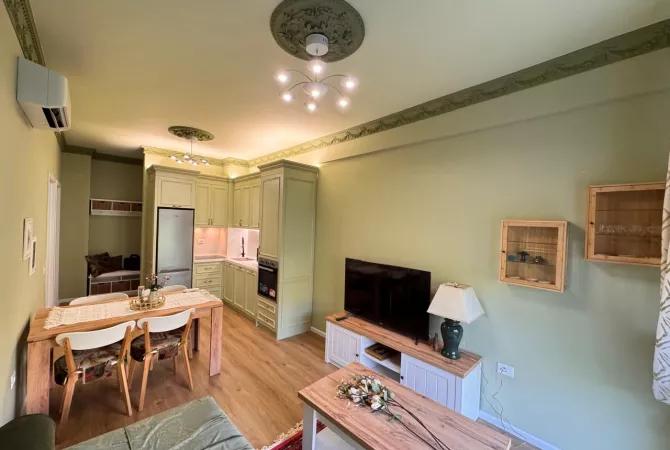 Shtepi me qera Apartament ne Tirane, 1+1, Mobilimi E mobiluar, Pagesa 500  Euro.