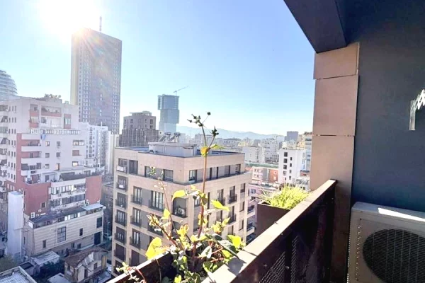 Shtepi me qera Apartament ne Tirane, 1+1, Mobilimi E mobiluar, Pagesa 850  Euro.