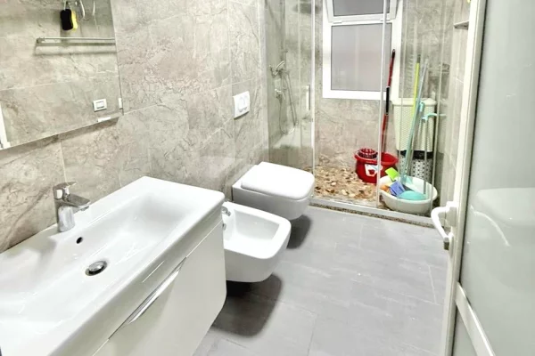 Shtepi me qera Apartament ne Tirane, 1+1, Mobilimi E mobiluar, Pagesa 60,000  Leke.