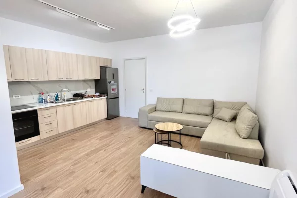 Shtepi me qera Apartament ne Tirane, 1+1, Mobilimi E mobiluar, Pagesa 60,000  Leke.