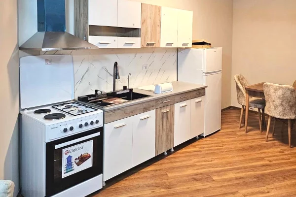 Appartamento in affitto a Tirana 1+1, Arredato