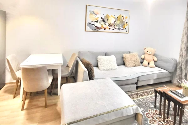 Shtepi me qera Apartament ne Tirane, 1+1, Mobilimi E mobiluar, Pagesa 950  Euro.