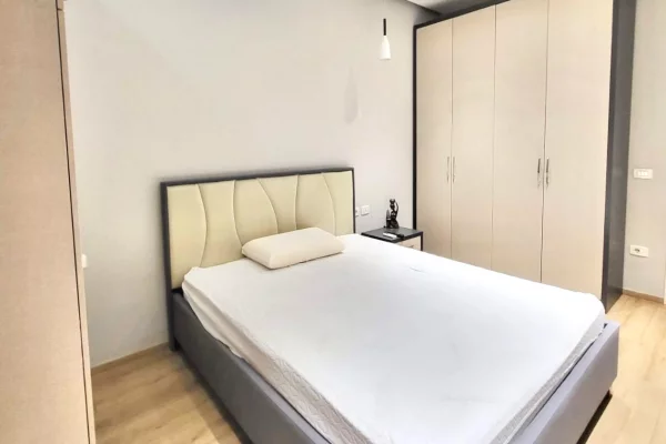 Shtepi me qera Apartament ne Tirane, 1+1, Mobilimi E mobiluar, Pagesa 950  Euro.