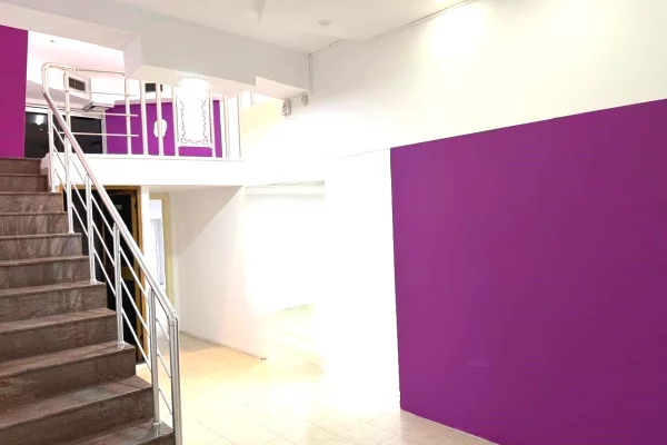 AMBIENT DUPLEX PER SHITJE SHKOLLA BALETIT*