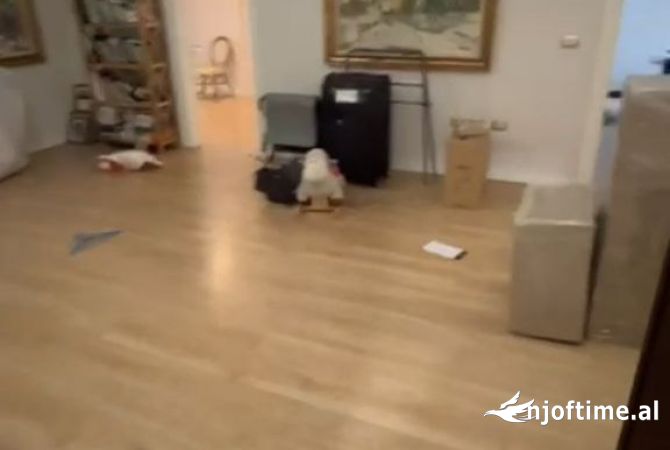 Shtepi ne shitje 3+1 ne Tirane - 200,000 Euro
