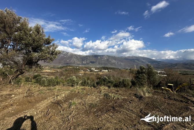 Truall ose Toke  ne Vlore - 110,000 Euro