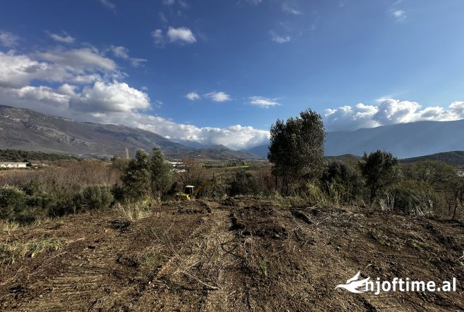 Truall ose Toke  ne Vlore - 110,000 Euro