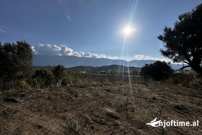 Truall ose Toke  ne Vlore - 110,000 Euro