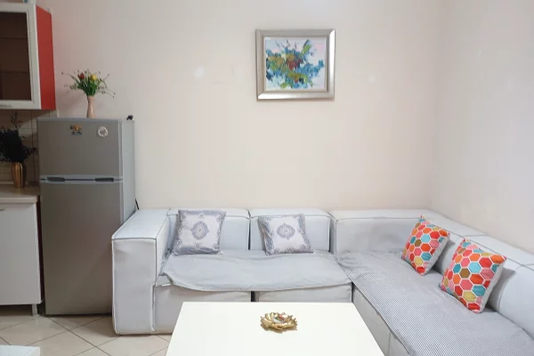 Shtepi me qera 1+1 ne Tirane - 40,000 Leke