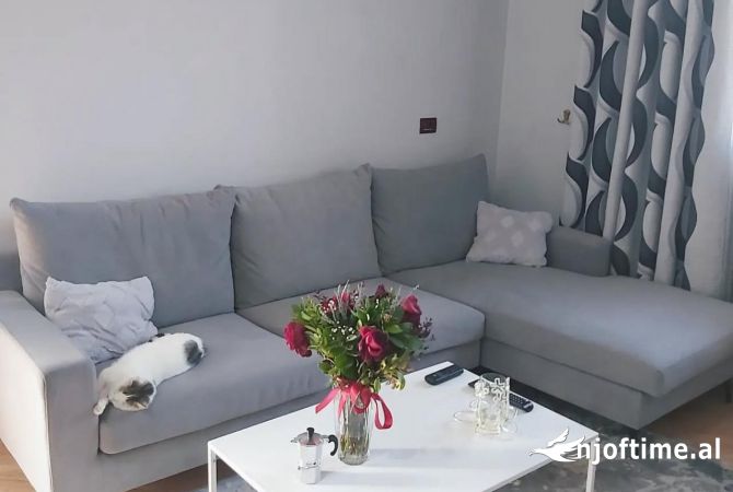 Shtepi me qera Shtepi Private ne Tirane, 2+1, Mobilimi E mobiluar, Pagesa 550  Euro.