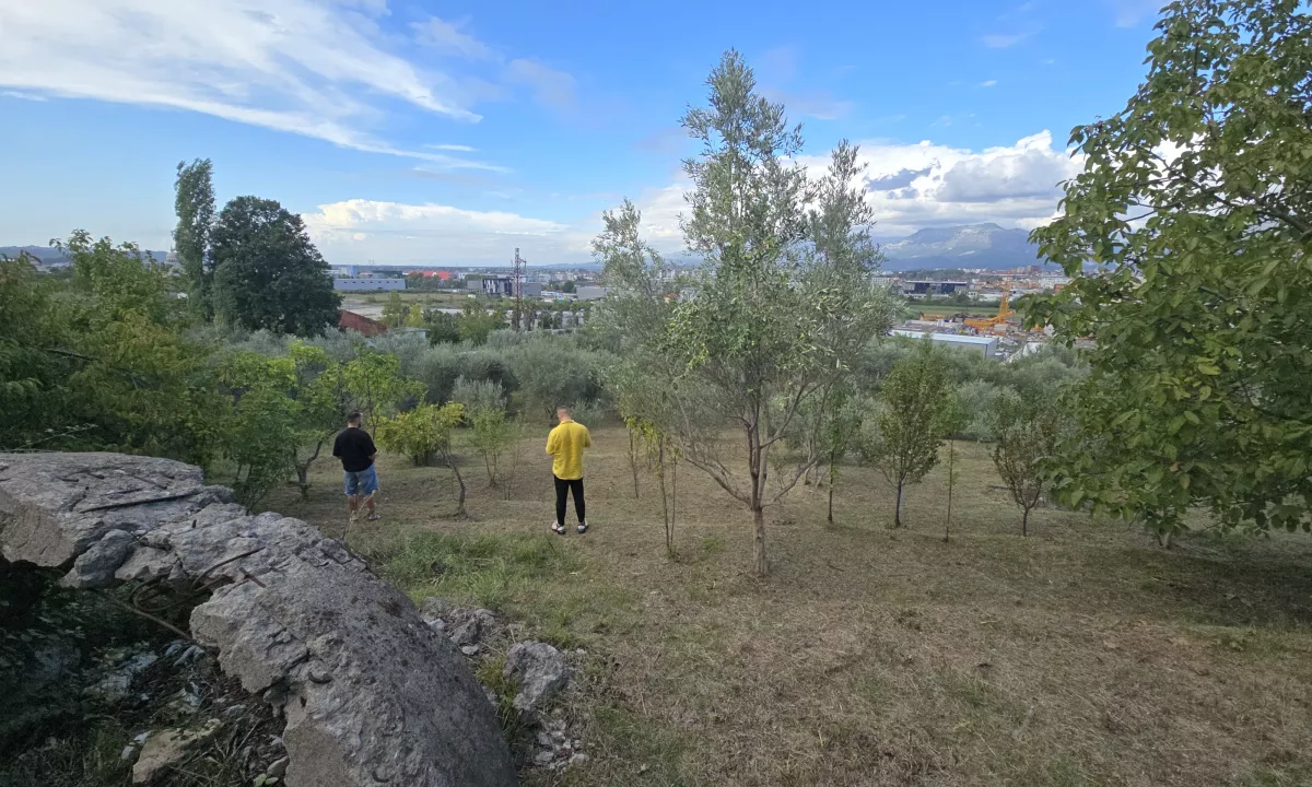 Foto 1