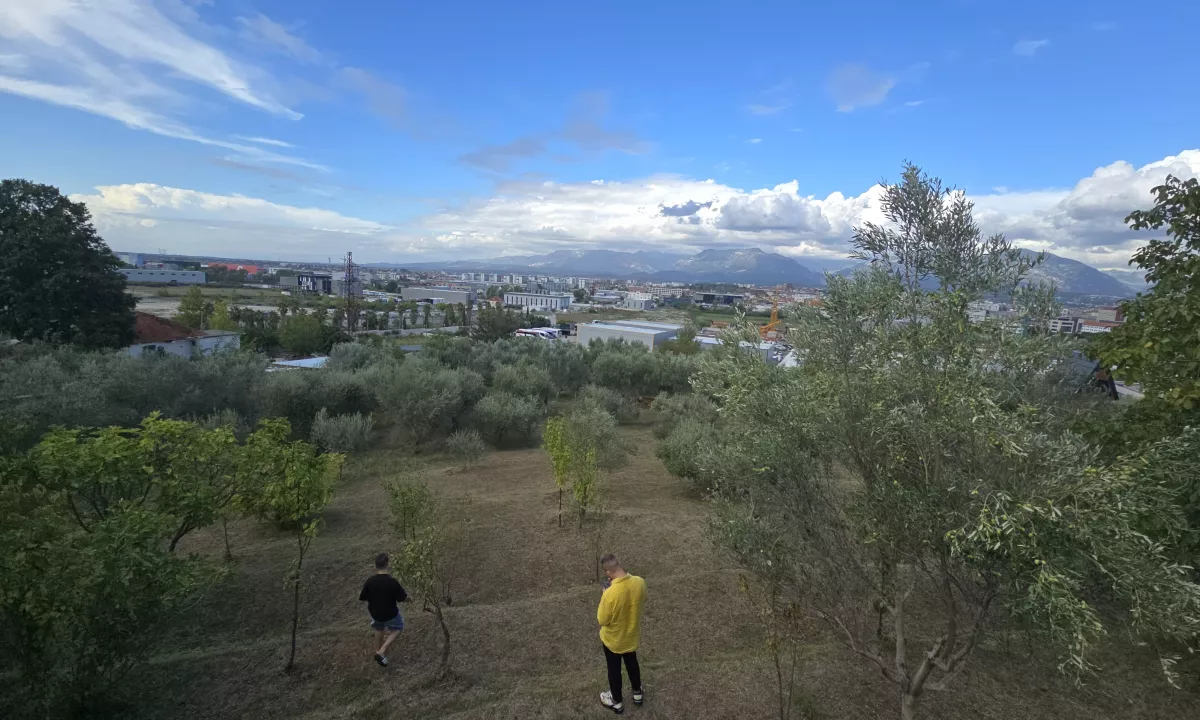 Foto 2