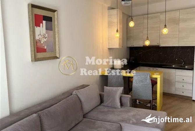Shtepi me qera Apartament ne Tirane, 1+1, Mobilimi E mobiluar, Pagesa 500  Euro.