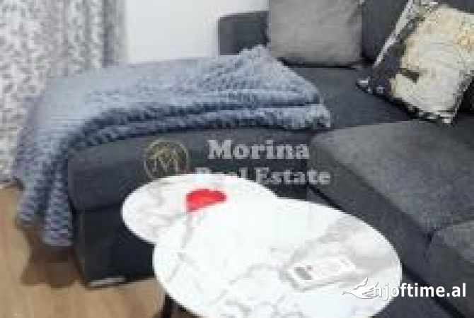 Shtepi me qera Apartament ne Tirane, Garsoniere, Mobilimi E mobiluar, Pagesa 350  Euro.