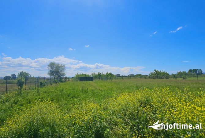 TOKE PER QERA NE FSHATIN JUBE, DURRES