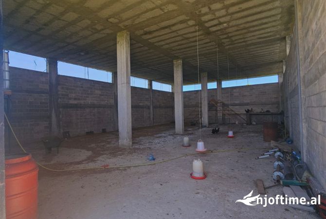 TOKE PER QERA NE FSHATIN JUBE, DURRES