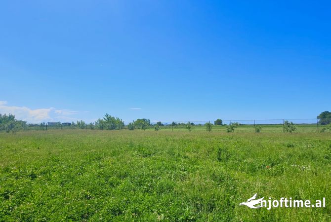 TOKE PER QERA NE FSHATIN JUBE, DURRES