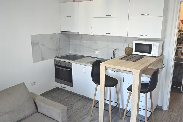 House for Rent 1+1 in Tirana - 300 Euro
