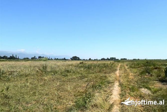 Terreno in vendita  a Alessio - 38,000 Euro