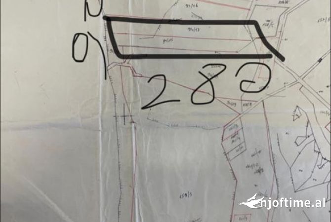 Truall ose Toke  ne Kavaje - 15,000 Euro