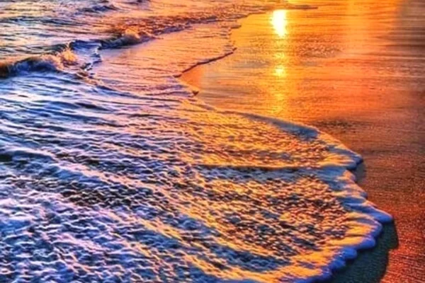 Toke per shitje ne Tale