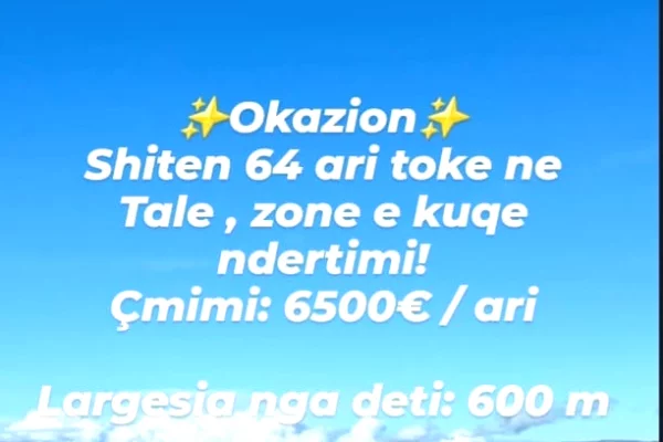 Truall ose Toke ne Lezhe - 65,000 Euro